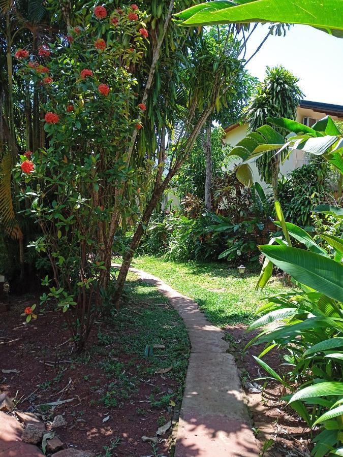 Garden Stone Hostel Puerto Iguazu Luaran gambar