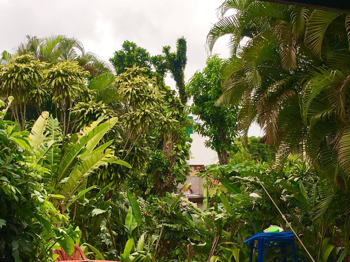 Garden Stone Hostel Puerto Iguazu Luaran gambar